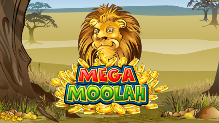 Un joueur décroche le pactole : 16 millions sur Mega Moolah !